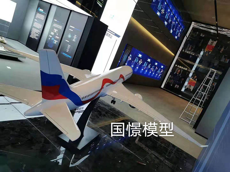 舞阳县飞机模型